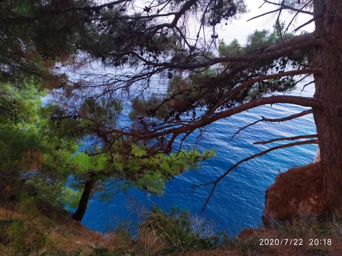 Apartamenti Enjoy Appartement Petrovac Buitenkant foto